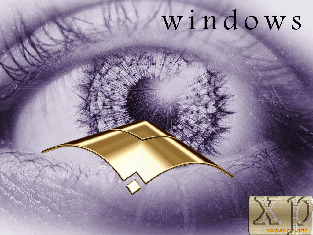 , , windows, xp